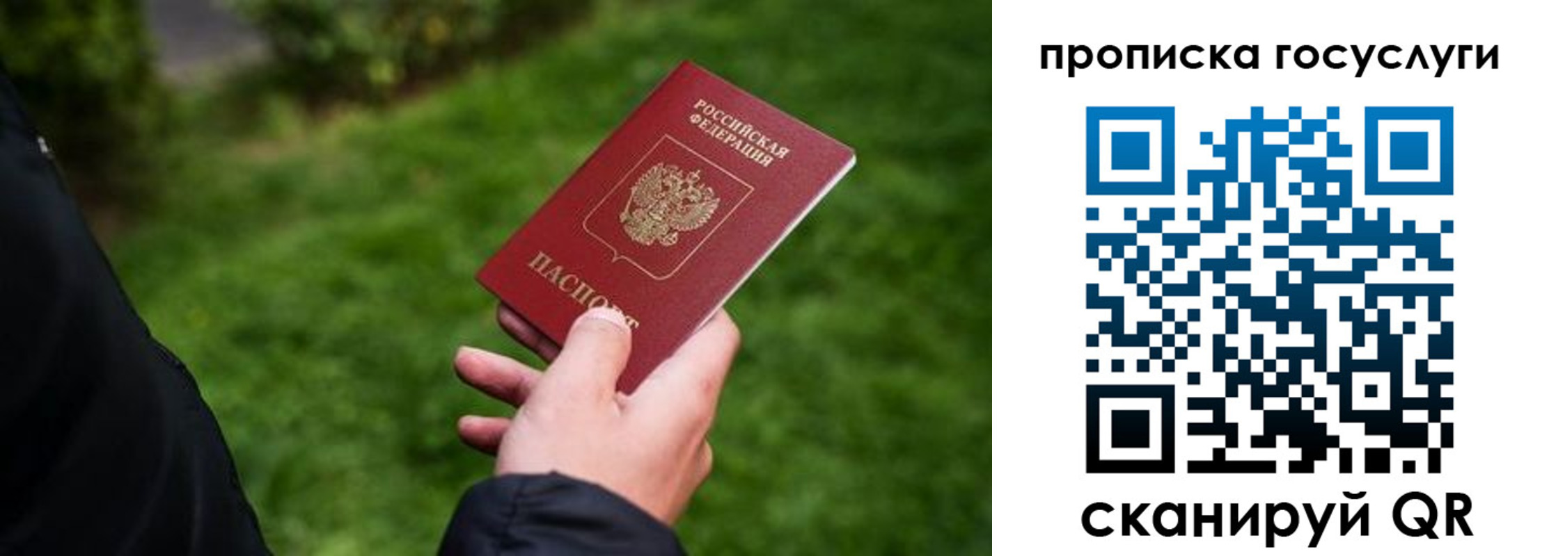 прописка для работы в Яхроме
